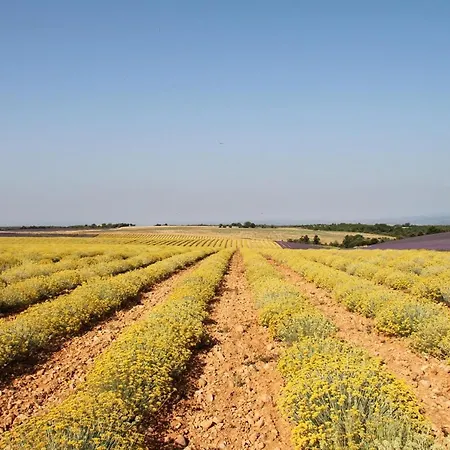 La Provencale Hébergement de vacances *